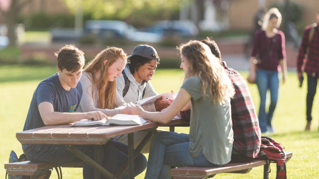 Outdoor Study Group